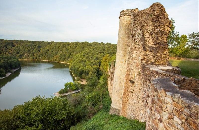 Château et forêt de Mervent