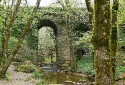 Pont de Diet à Mervent en forêt