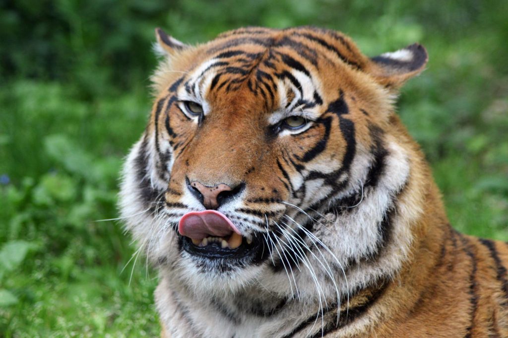 Natur'zoo de Mervent en Vendée