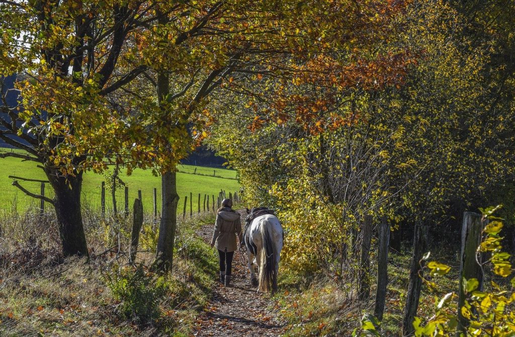 woman, horse, trail