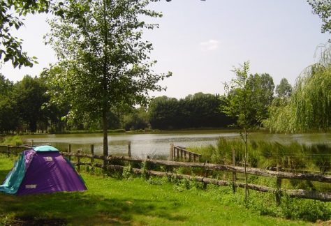 Camping Les Amis de la Forêt à Mervent