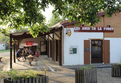 Camping Les Amis de la Forêt à Mervent