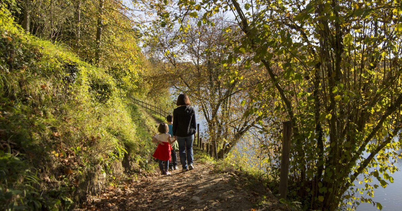 Balade en famille en forêt de Mervent